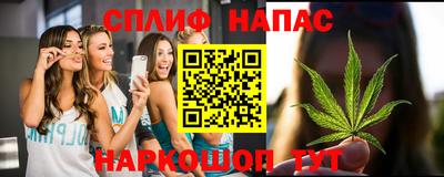 прущие грибы Партизанск