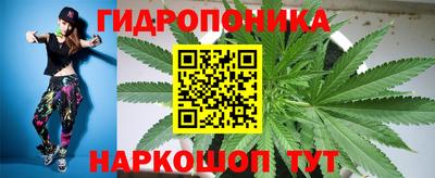 a pvp Пенза